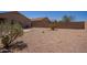 Large backyard with desert landscaping, surrounded by a privacy wall, and an area for outdoor entertaining at 29109 N Fire Agate Rd, San Tan Valley, AZ 85143