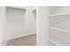 Spacious walk-in closet with shelving and carpeted floor at 29109 N Fire Agate Rd, San Tan Valley, AZ 85143