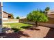 Spacious backyard featuring a well-maintained lawn, attractive desert landscaping, and a sturdy privacy fence at 3165 W Golden Ln, Chandler, AZ 85226
