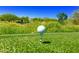 Scenic golf course view with vibrant flowers and mountain views on a sunny day at 41602 N Congressional Dr, Phoenix, AZ 85086