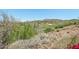 Backyard view overlooking the community golf course, highlighting the beautiful greenery at 41602 N Congressional Dr, Phoenix, AZ 85086