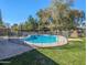 A view of the backyard featuring a large in-ground pool with mature landscaping at 4202 E Sahuaro Dr, Phoenix, AZ 85028