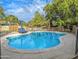 An in-ground pool surrounded by lounge furniture and mature landscaping in the backyard at 4202 E Sahuaro Dr, Phoenix, AZ 85028