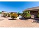 Landscaped backyard with tropical foliage, an outdoor grill, and a covered patio area at 44468 W Eddie Way, Maricopa, AZ 85138
