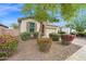 Landscaped front yard with drought tolerant plantings and mature trees at 134 E Bernie Ln, Gilbert, AZ 85295