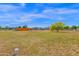 Expansive backyard featuring a mature tree and ample space for outdoor activities and customization at 14415 N 184Th Ave, Surprise, AZ 85388