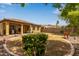 Expansive backyard showcasing a well-maintained lawn, patio, and desert landscape at 16987 W Hammond St, Goodyear, AZ 85338