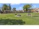 Grassy community space with picnic tables, mature trees and fenced in area for residents to enjoy at 18811 N 34Th Ave # 6, Phoenix, AZ 85027