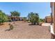 Desert backyard featuring beautiful landscaping, mature trees, and scenic views at 19225 N Tallowood Way, Surprise, AZ 85387