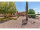 A single-story home with low desert landscaping featuring native cactus and trees at 19225 N Tallowood Way, Surprise, AZ 85387