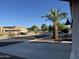 Picturesque street featuring a mature palm tree and well-maintained desert landscaping at 20298 N 108Th Ln, Sun City, AZ 85373