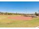 Well-maintained community baseball field with lush green grass and mature trees in the background at 20423 W Springfield St, Buckeye, AZ 85396