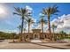 Community entrance featuring an arched gateway, lush landscaping, and towering palm trees under a bright blue sky at 20423 W Springfield St, Buckeye, AZ 85396
