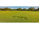 A wide open community park provides plenty of green space for activities and relaxation, with mature trees providing shade at 20423 W Springfield St, Buckeye, AZ 85396