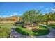 Picturesque courtyard featuring a mature tree and manicured landscaping under a clear blue sky at 20423 W Springfield St, Buckeye, AZ 85396