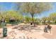Peaceful park seating area with benches under shaded trees, perfect for reading or enjoying nature at 20423 W Springfield St, Buckeye, AZ 85396