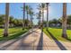 Scenic walkway lined with palm trees and lush green grass at 20423 W Springfield St, Buckeye, AZ 85396