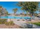 Large community pool surrounded by palm trees, lounge chairs, and lush green landscaping at 20581 N Enchantment Pass, Maricopa, AZ 85138