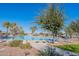 The community pool is surrounded by palm trees, lounge chairs, and lush green landscaping at 20581 N Enchantment Pass, Maricopa, AZ 85138