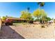 A beautiful backyard featuring desert landscaping and privacy trees at 2114 E Hale St, Mesa, AZ 85213