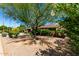 Front yard featuring mature landscaping, desert plants, and trees provides ample shade and enhances the home's curb appeal at 2114 E Hale St, Mesa, AZ 85213