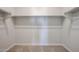 Walk-in closet with shelves and carpeted flooring at 22045 N Rummler Ln, Maricopa, AZ 85138