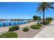 Scenic lake view with a wooden boardwalk, lush landscaping, and clear blue skies at 22045 N Rummler Ln, Maricopa, AZ 85138