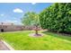 Green backyard with lush lawn, mature trees, and a fountain, offering a peaceful and serene outdoor space at 2369 W Shawnee Dr, Chandler, AZ 85224