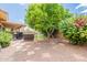 Spacious backyard featuring a covered patio, green lawn, stone pathway, and a variety of trees and shrubs at 2369 W Shawnee Dr, Chandler, AZ 85224