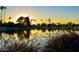 Scenic view of the community pond with palm trees and the sun setting at 2633 S El Dorado Dr, Mesa, AZ 85202