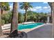 Inviting backyard pool surrounded by beautiful landscaping and mature palm trees at 2633 S El Dorado Dr, Mesa, AZ 85202