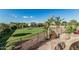 Expansive backyard featuring lush grass, mature trees, and space for outdoor activities at 3754 E Flintlock Dr, Queen Creek, AZ 85142