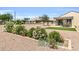 Landscaped backyard featuring a variety of desert plants, creating a visually appealing and drought-tolerant space at 41769 W Canasta Ln, Maricopa, AZ 85138