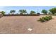 Expansive backyard featuring low-maintenance desert landscaping, ideal for easy upkeep and outdoor enjoyment at 41769 W Canasta Ln, Maricopa, AZ 85138