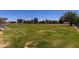 Expansive green backyard with mature trees and a fence at 1551 E Longhorn Dr, Chandler, AZ 85286