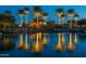 Night shot of a pond reflecting the lights of palm trees surrounding a community building at 21093 N Willow Rd, Maricopa, AZ 85138