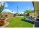Spacious backyard with well-maintained lawn, mature trees, and covered patio at 2901 W Mandalay Ln, Phoenix, AZ 85053