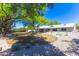 Expansive backyard with a lush lawn, mature trees, and a peaceful, desert-inspired landscape at 2935 W Kristal Way, Phoenix, AZ 85027