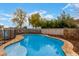 Backyard pool with a black metal safety fence and surrounding landscaping at 3432 E Bartlett Dr, Gilbert, AZ 85234