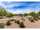 View of a community with desert landscaping, green foliage, winding walkways, and trees at 3810 S Star Canyon Dr, Gilbert, AZ 85297