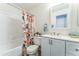 Well-lit bathroom featuring a tub with shower, modern vanity, and decorative shower curtain at 3930 W Monterey St # 136, Chandler, AZ 85226
