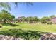 Well-maintained community lawn with lush green grass and mature trees, offering a serene space for relaxation and recreation at 3935 E Rough Rider Rd # 1183, Phoenix, AZ 85050