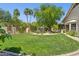 Spacious backyard featuring a lush lawn, mature trees, and a decorative water feature, creating a private oasis at 7508 E Aster Dr, Scottsdale, AZ 85260