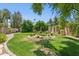 Large backyard featuring a meticulously landscaped cactus garden, fountain, and lush green grass at 7508 E Aster Dr, Scottsdale, AZ 85260