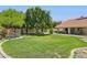 Expansive backyard features lush green grass, mature trees, and a covered patio for outdoor enjoyment at 7508 E Aster Dr, Scottsdale, AZ 85260