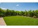 Manicured backyard featuring artificial turf and a perimeter of lush, mature landscaping at 9281 W Villa Chula --, Peoria, AZ 85383