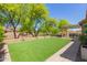 Lush backyard features artificial turf, a charming pergola, and serene landscaping, perfect for outdoor living at 14208 W Larkspur Dr, Surprise, AZ 85379