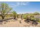 Front yard featuring drought resistant plants at 15107 E Desert Willow Dr, Fountain Hills, AZ 85268