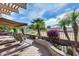Beautiful backyard with lush tropical landscaping, a privacy fence, and ample seating at 17162 N Winding Trl, Surprise, AZ 85374