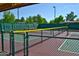Well-maintained pickleball court featuring a green surface and black chain-link fence at 17162 N Winding Trl, Surprise, AZ 85374